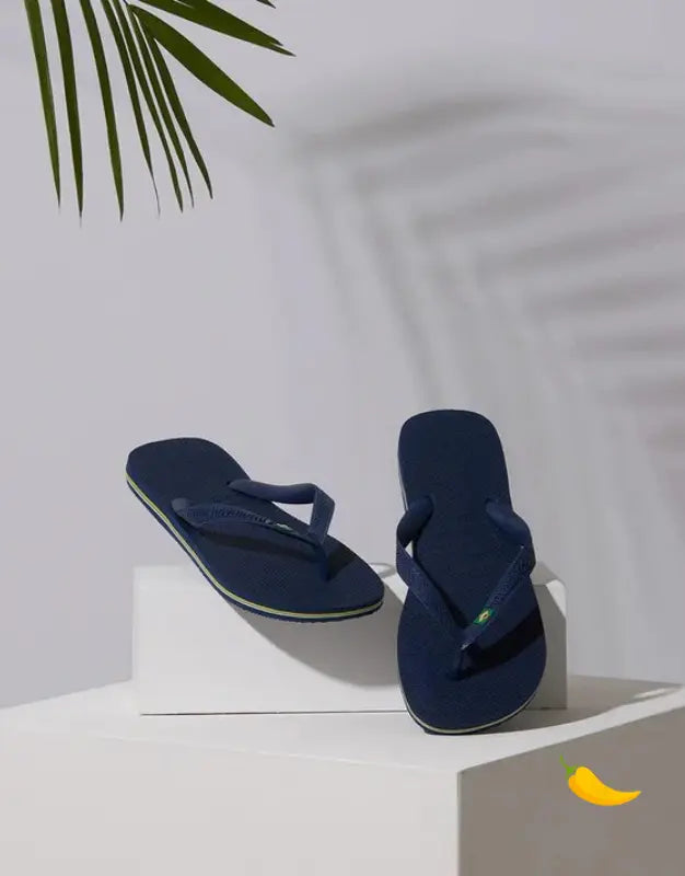 Havaianas Brasil Flip Flops – Classic Summer Sandals Havaianas